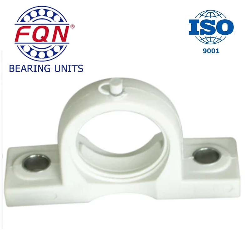 High Quality Ss-Ucppl206 Plastic Pillow Block Bearing Manufacturers