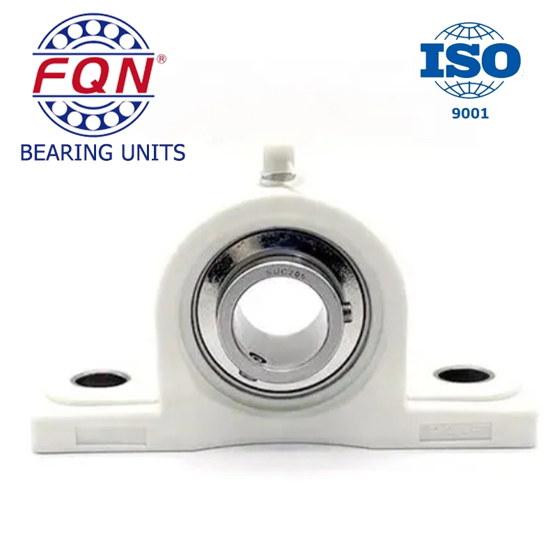 High Quality Ss-Ucppl206 Plastic Pillow Block Bearing Manufacturers